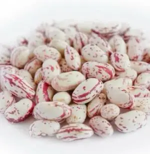Beans